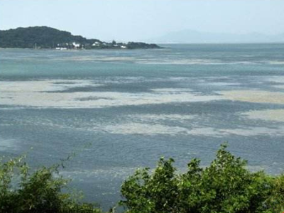 深圳水質(zhì)檢測(cè)機(jī)構(gòu) 深圳水質(zhì)檢測(cè)機(jī)構(gòu)